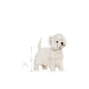 Royal Canin West Highland White Terrier Adult 1,5kg