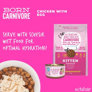 Schesir Born Carnivore Cat Dry Kitten Kurczak Z Jajkiem 255g