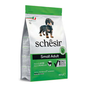 Schesir Suchy Pies Small Adult Jagnięcina 800g