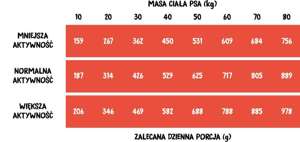 Wiejska Zagroda Wołowina z indykiem dla psa 20kg